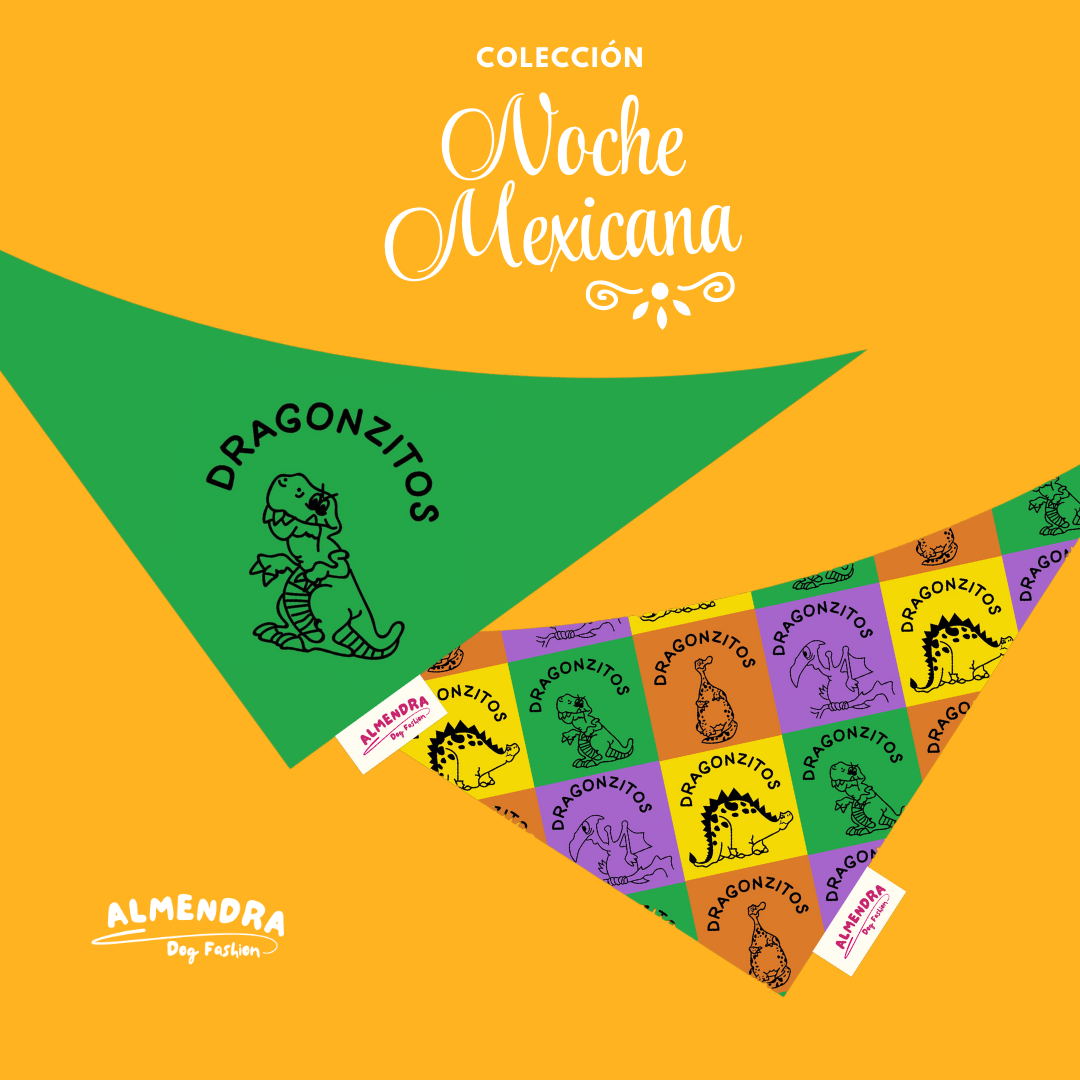 Bandanas Noche Mexicana