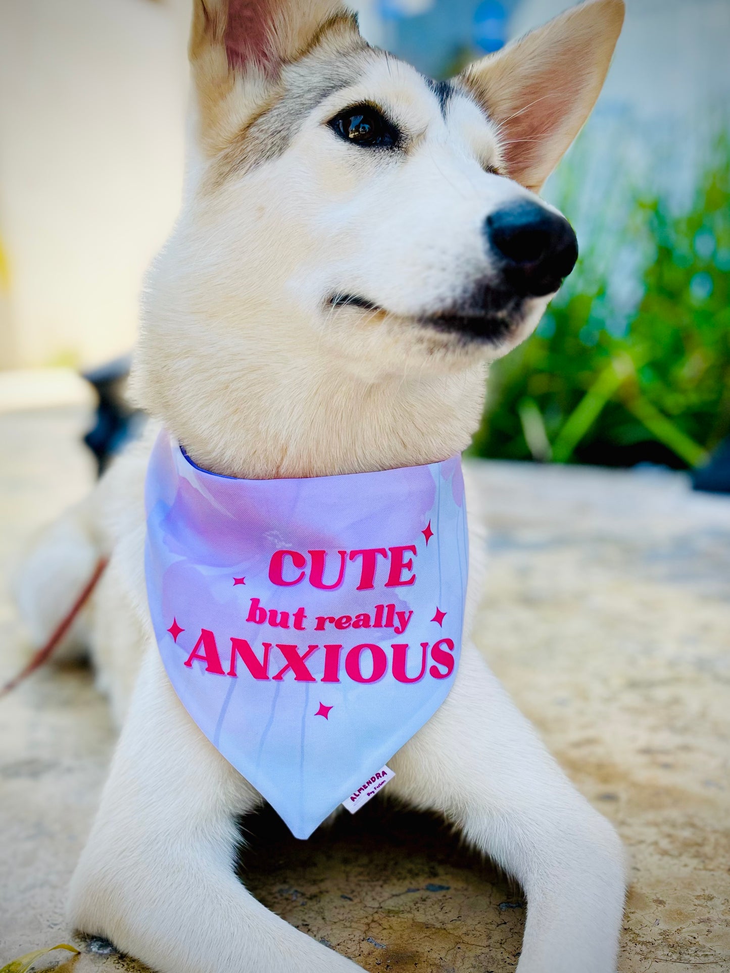 Bandana Anxious / Flores