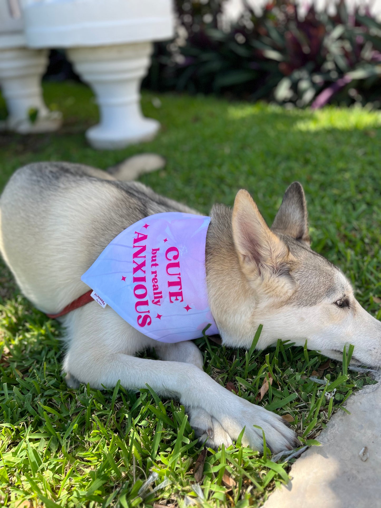 Bandana Anxious / Flores