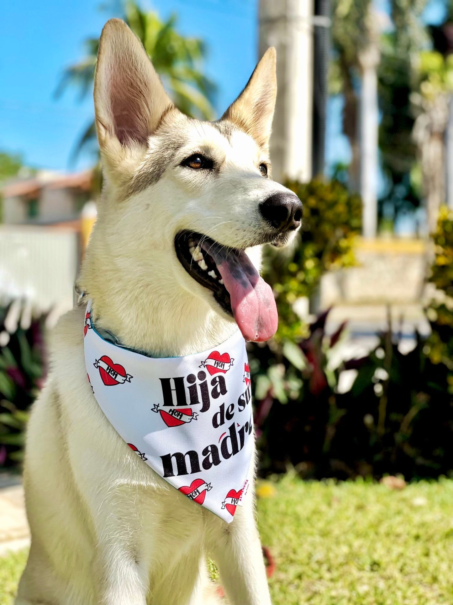 Bandana Hijx de su madre / Mom's Doggies