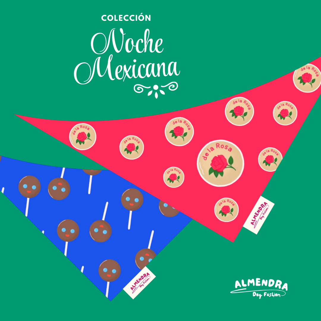 Bandanas Noche Mexicana