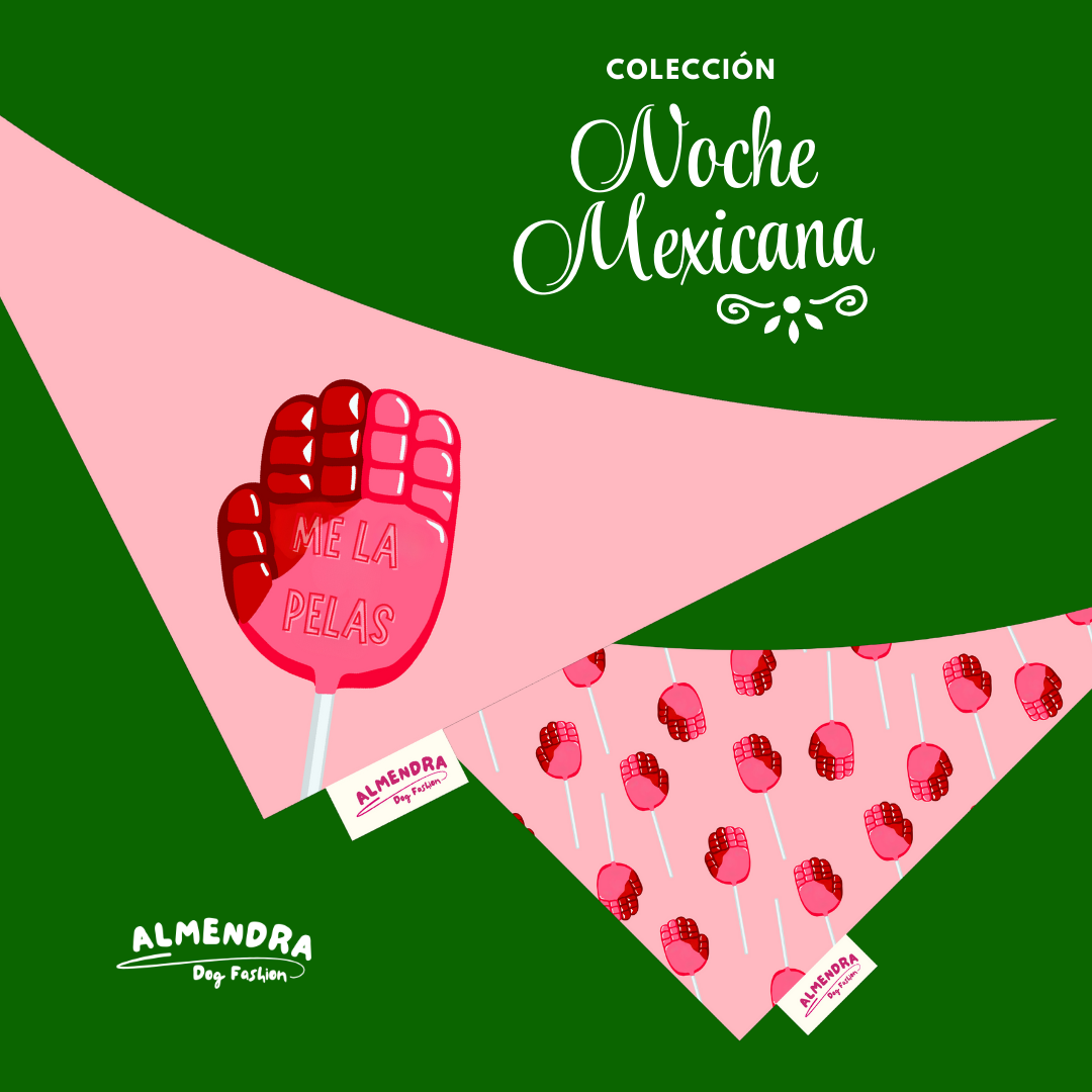 Bandanas Noche Mexicana