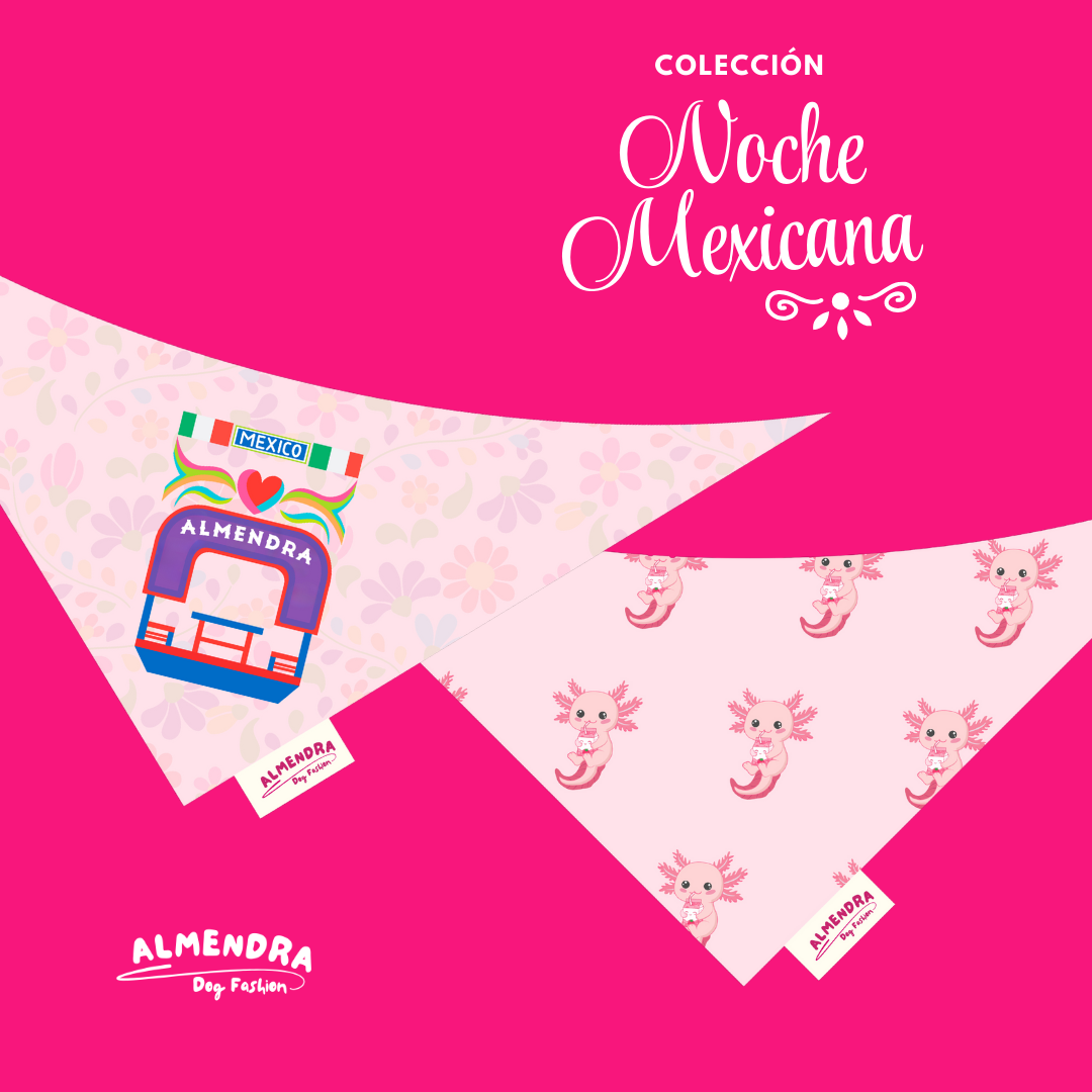 Bandanas Noche Mexicana